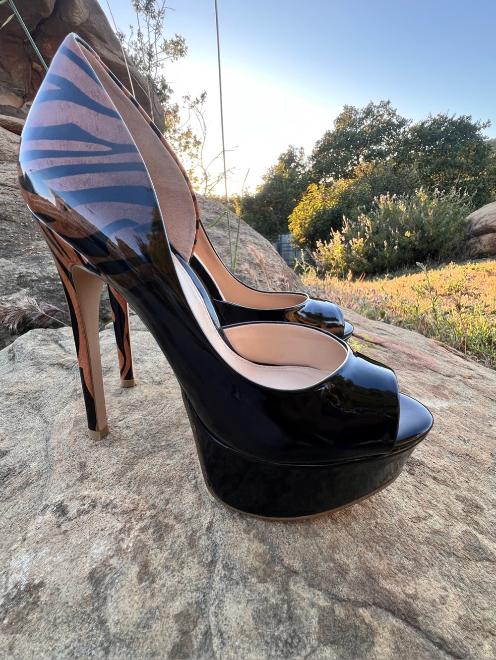 👠Steve Madden Dynamic - Zebra Platform Heels